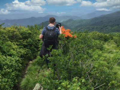 Roan Mountain – Landscape Photography – AdvancedFineArt